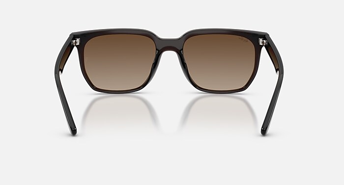 Ray-Ban サングラス ブラウンレンズ レイバン公式ストア】 Ray-Ban® RB4466D サングラス | 透明