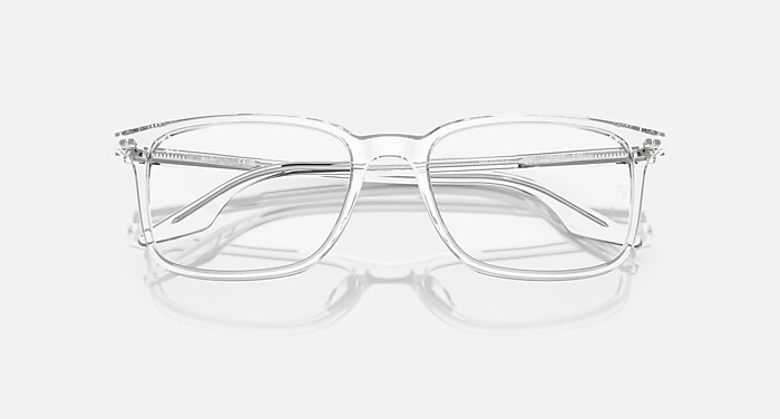 RB5421 OPTICS RB5421 2001 53-19