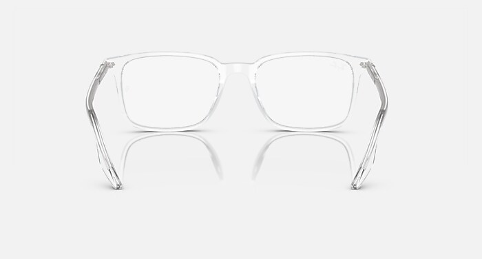 RB5421 OPTICS RB5421 2001 53-19
