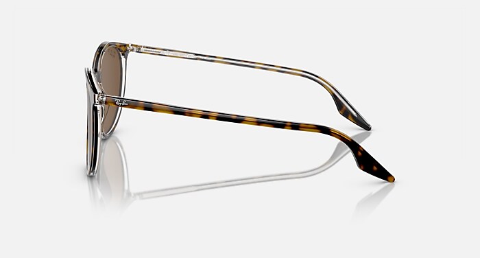 RB2203 Sunglasses in Black On Transparent and Green