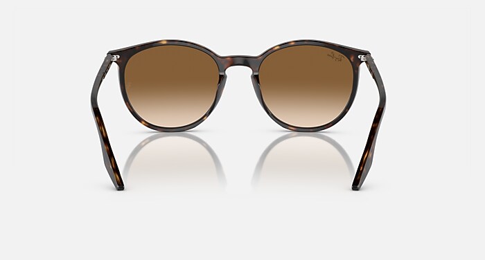 Ray Ban RB2204 サングラス(ブラウン) RB2204 Sunglasses in Havana and Light Brown - RB2204 | Ray