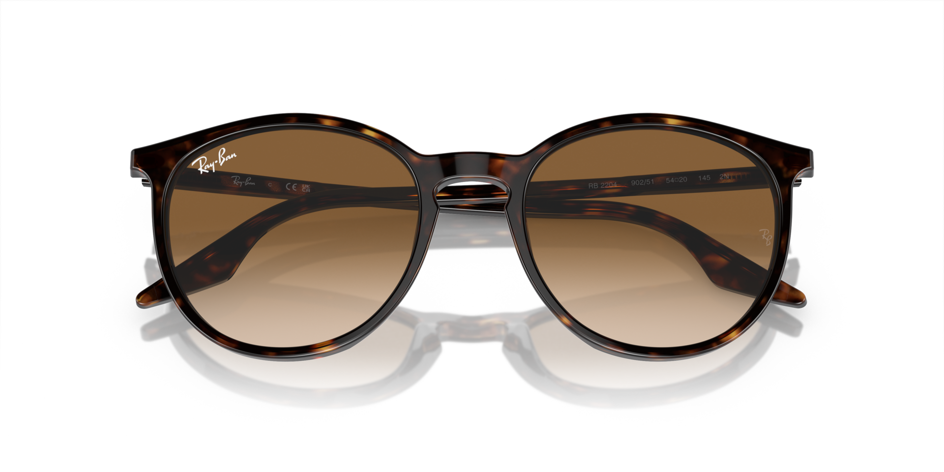 RB2204 Sunglasses in Havana and Light Brown - RB2204 | Ray  display picture 2