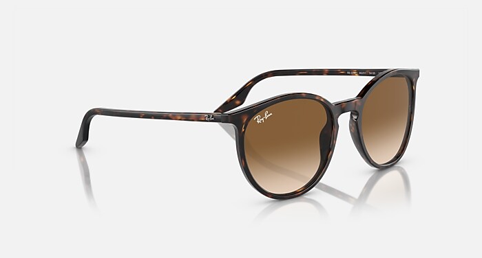 Ray Ban RB2204 サングラス(ブラウン) RB2204 Sunglasses in Havana On Transparent and Brown