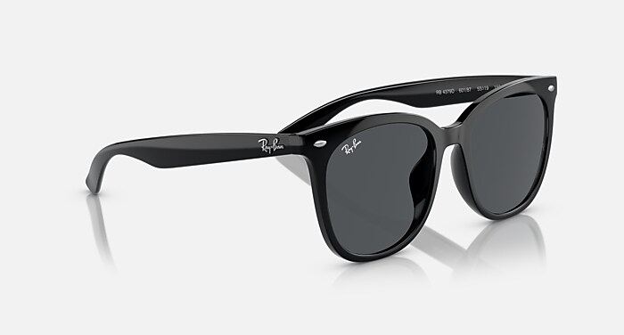 レイバン公式ストア】 Ray-Ban® RB4379D サングラス | ブラック X 