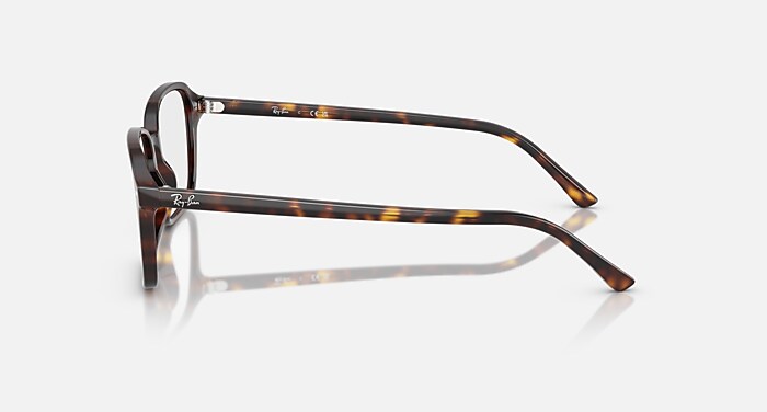 RAIMOND OPTICS Eyeglasses with Havana Frame - RB5431F | Ray-Ban® CA