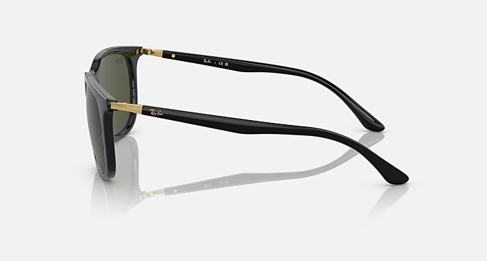 レイバン公式ストア】 Ray-Ban® RB4386 サングラス | ブラック X 