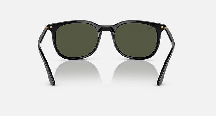 レイバン公式ストア】 Ray-Ban® RB4386 サングラス | ブラック X 