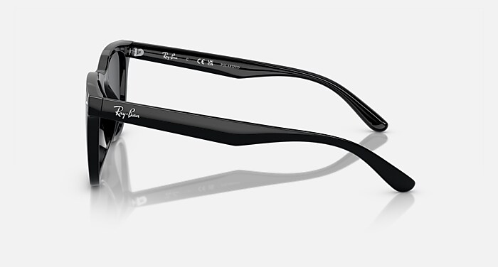 Ray-Ban Sunglasses Unisex Rb4391d - Black Frame Grey Lenses 65-18 Polarized