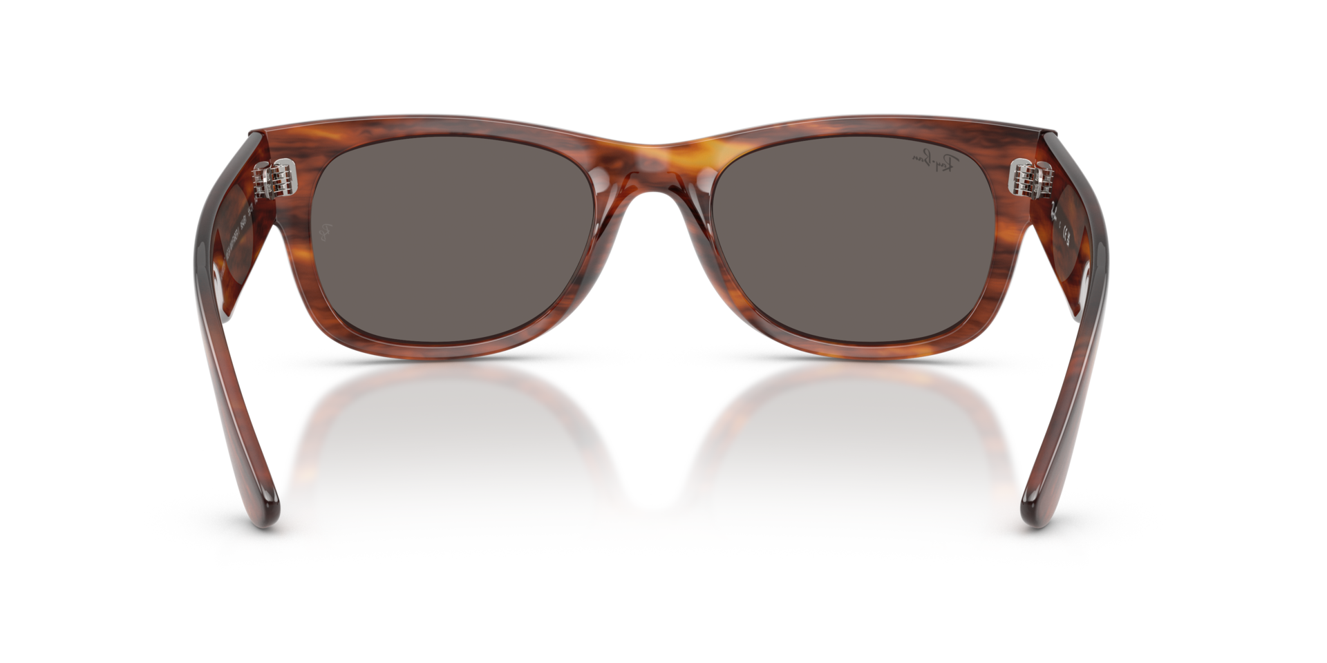 MEGA WAYFARER II 5