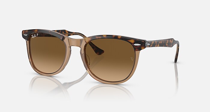 レイバン公式ストア】 Ray-Ban® EAGLE EYE サングラス | 透明ブラウン 