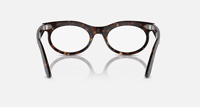 WAYFARER OVAL TRANSITIONS® Sunglasses in Havana and Clear