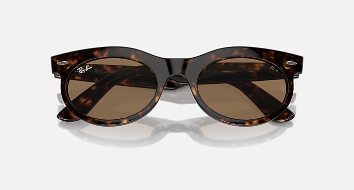 WAYFARER OVAL TRANSITIONS® Sunglasses in Havana and Clear