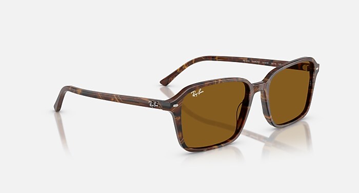 RAIMOND Sunglasses in Transparent Fantasy Brown and B-15 Brown