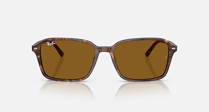 Ray-Ban Sunglasses Unisex Raimond - Transparent Fantasy Brown Frame Brown Lenses 56-18