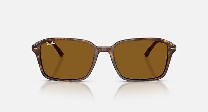 RAIMOND Sunglasses in Transparent Fantasy Brown and B-15 Brown