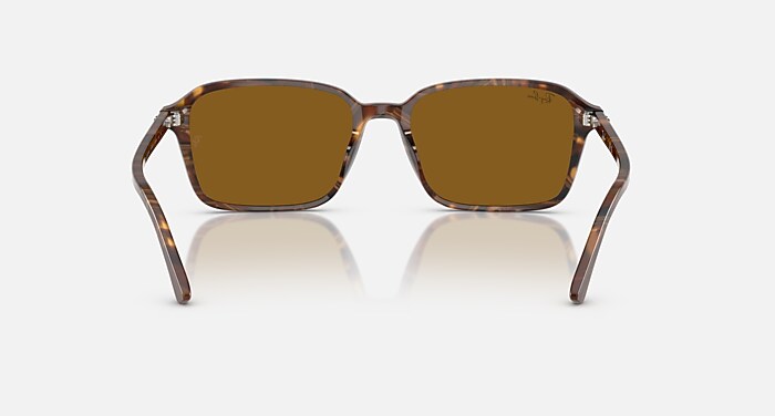 Ray-Ban Sunglasses Unisex Raimond - Transparent Fantasy Brown Frame Brown Lenses 56-18