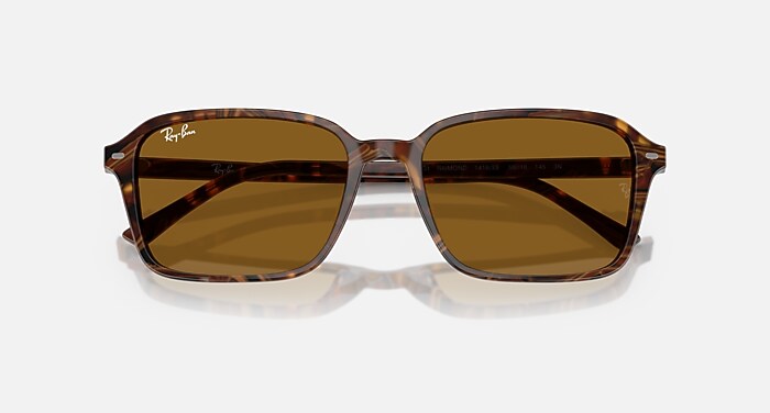 RAIMOND Sunglasses in Transparent Fantasy Brown and B-15