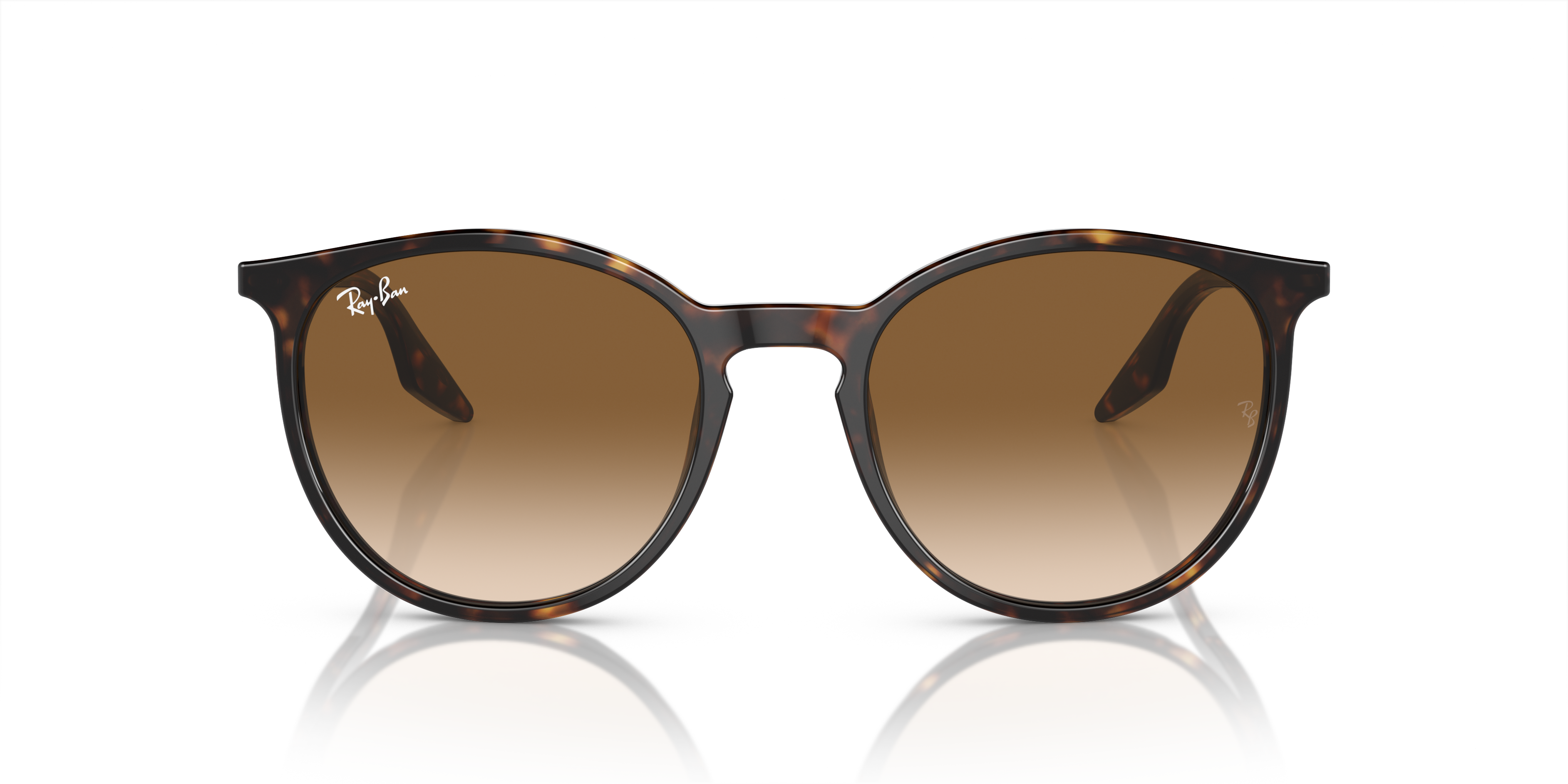 Ray Ban RB2204 サングラス(ブラウン) レイバン公式ストア】 Ray-Ban® RB2204 サングラス | ハバナ X