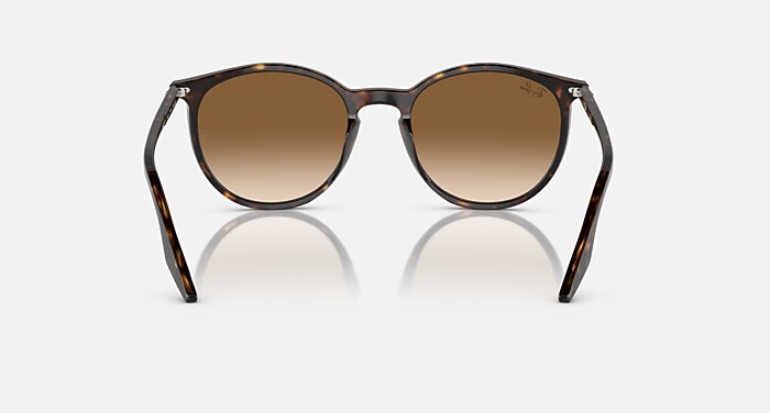 Ray-Ban Sunglasses Unisex Rb2204 - Havana Frame Brown Lenses 54-18