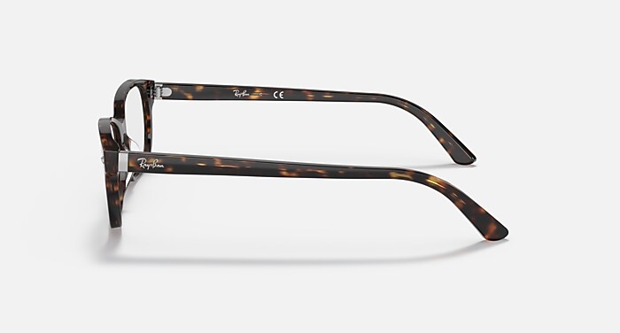 Ray-Ban RB5208D ブラウントータスメガネ