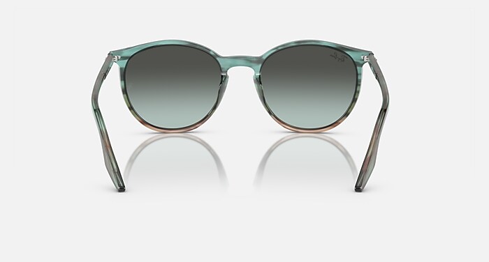 レイバン公式ストア】 Ray-Ban® RB2204 サングラス | ストライプ