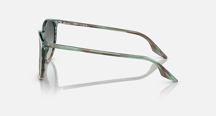 レイバン公式ストア】 Ray-Ban® RB2204 サングラス | ストライプ