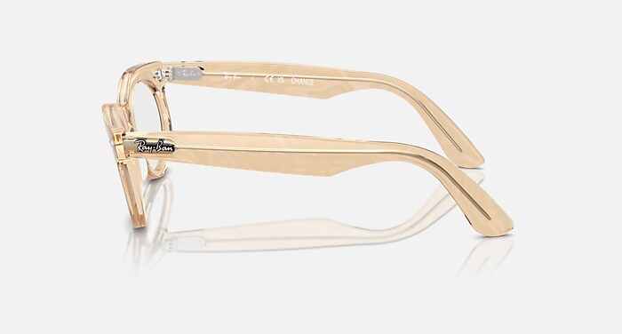 Eyeglasses with WAYFARER OVAL OPTICS CHANGE Frame Photo