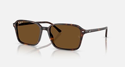 RAIMOND Sunglasses in Black and G-15 Green - RB2231F | Ray-Ban® US