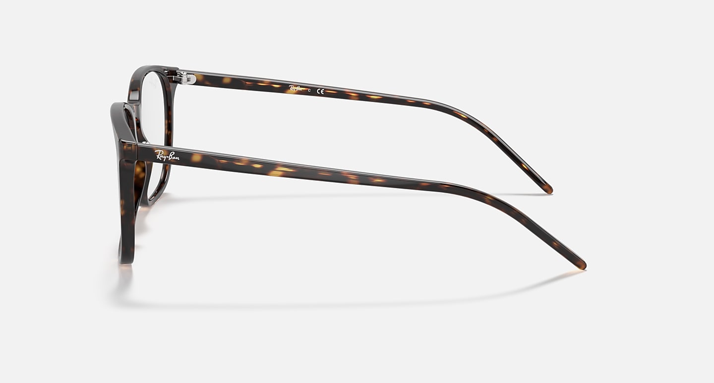 RB5387 OPTICS RB5387 2012 54-18