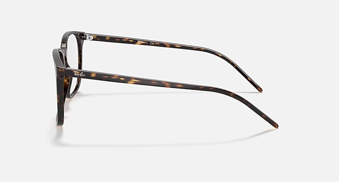 Ray-Ban Eyeglasses Rb5387 Optics Striped Blue Frame Clear Lenses