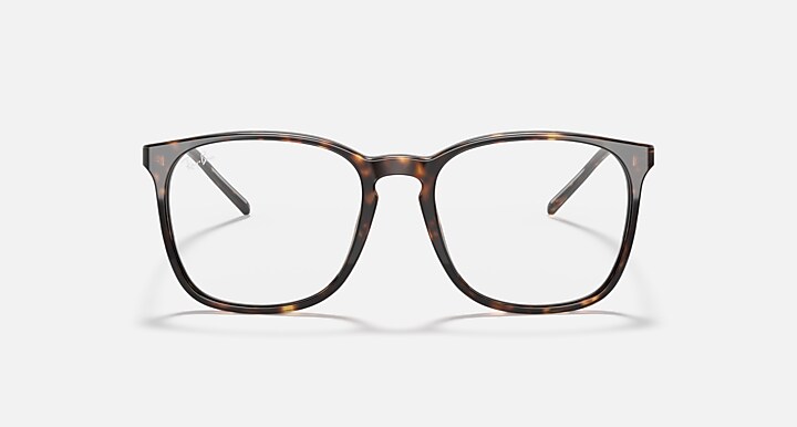 RB5387 OPTICS RB5387 2012 54-18