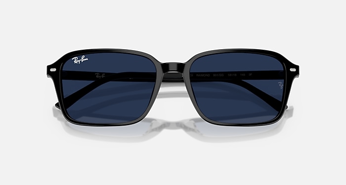 RAIMOND TRANSITIONS® Sunglasses in Black and Transitions