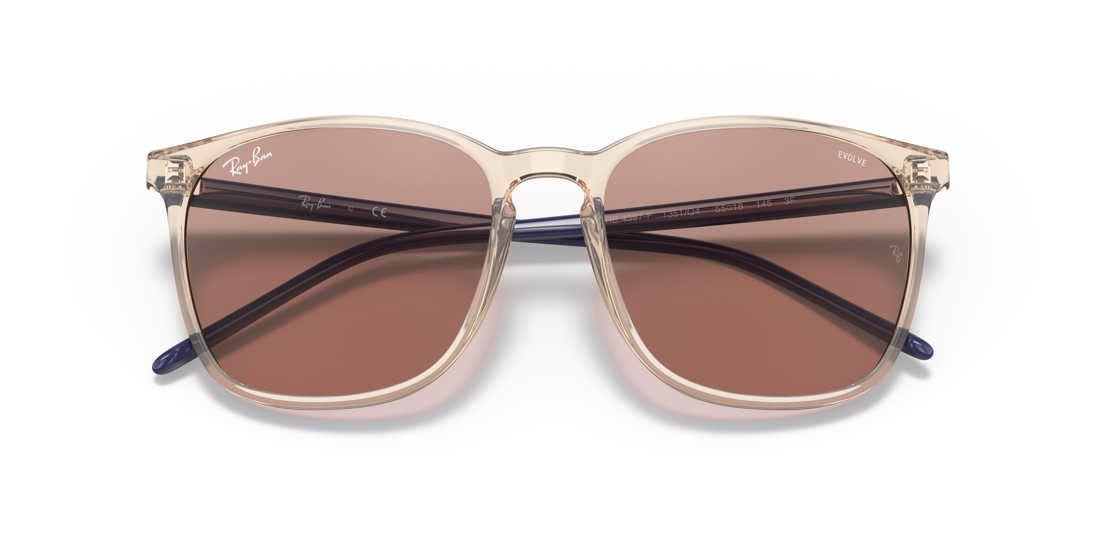 レイバン ブラウン サングラス レイバン公式ストア】 Ray-Ban® RB4387 EVOLVE サングラス