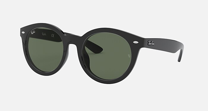 Ray-Ban レイバン サングラス 純正レンズ対応 RB4261D 710/80 55