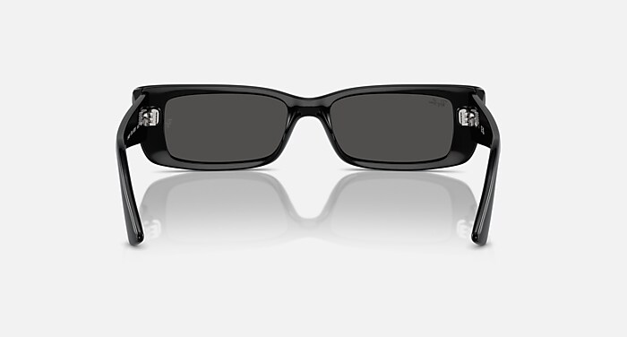 TERU BIO-BASED Sunglasses in Black and Dark Grey - RB4425F