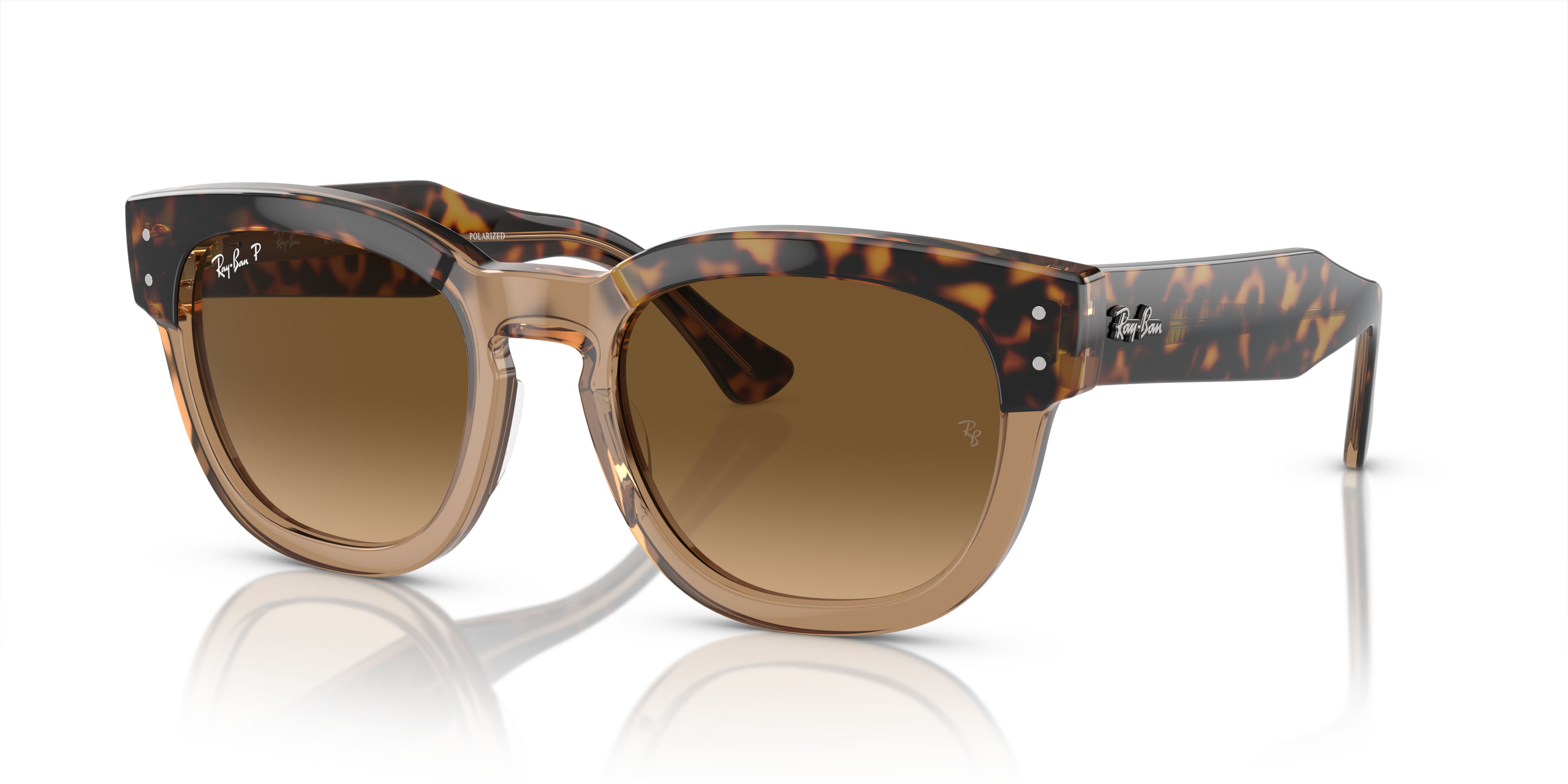 MEGA HAWKEYE Polished Havana On Transparent Brown Frame Brown Lenses 53-21