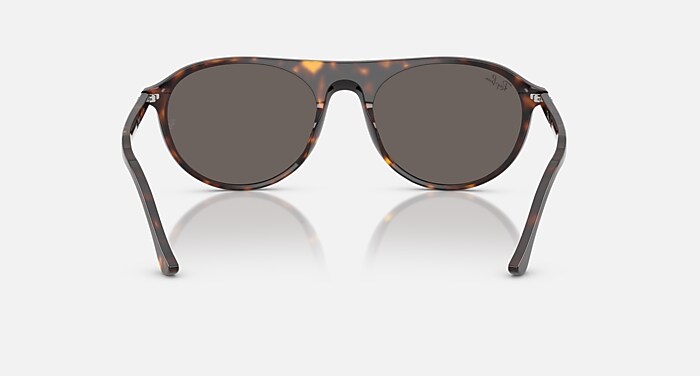 Ray-Ban Sunglasses Unisex Rb2215 - Havana Frame Grey Lenses 59-20
