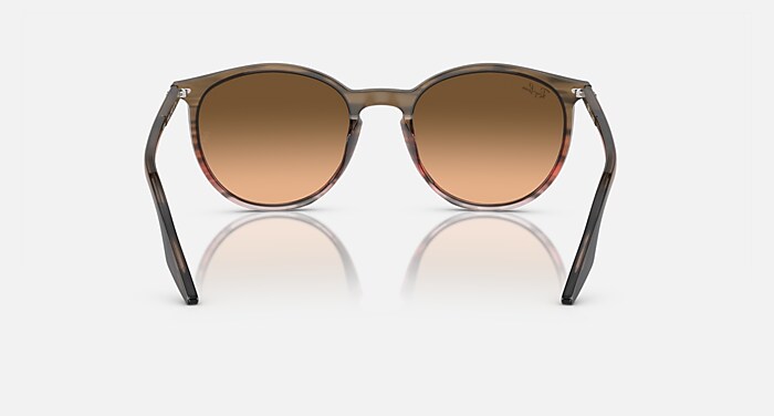Ray Ban RB2204 サングラス(ブラウン) レイバン公式ストア】 Ray-Ban® PHIL BIO-BASED サングラス