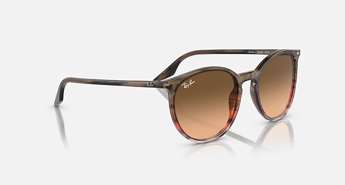Ray-Ban RB2204F ブラウン サングラス RB2204 Sunglasses in Black On Transparent and Green