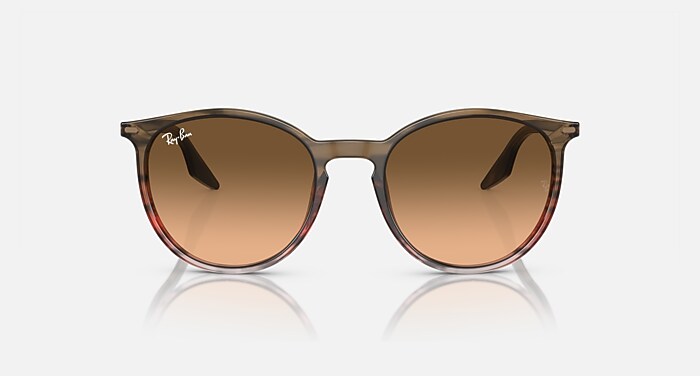 Ray Ban RB2204 サングラス(ブラウン) RB2204 Sunglasses in Striped Brown & Red and Pink/Black