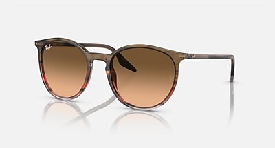 RB2204 Sunglasses in Black On Transparent and Green