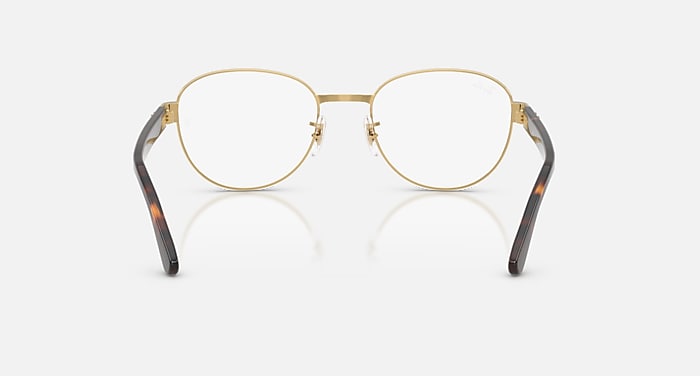 Ray-Ban Eyeglasses Unisex Rb6543 Optics Prescription - Havana Grey Frame Clear Lenses 54-20 Polarized