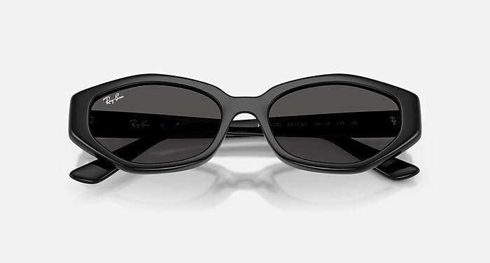 RayBan レイバン サングラス レイバン公式ストア】 Ray-Ban® RB4473D サングラス | ダークブラウン