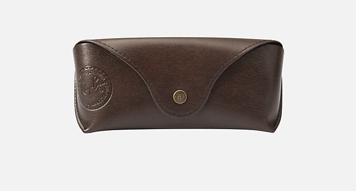 Ray-Ban undefined SHADES SHELL LTD CASE Chocolate Brown with Transparent undefined lens