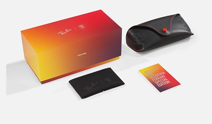 レイバン公式ストア】 Ray-Ban® RB2217M HOME RACE SPECIAL EDITION