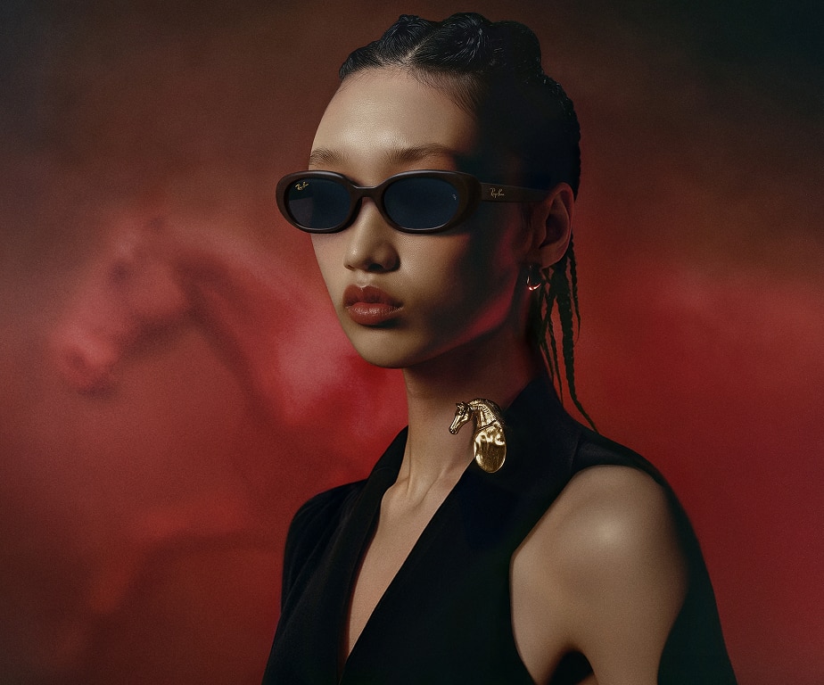 大人気新作レイバン RB4441D チャン・ヒリョン私物着用 レイバン公式ストア】 Ray-Ban® RB4441D YEAR OF THE HORSE EDITION