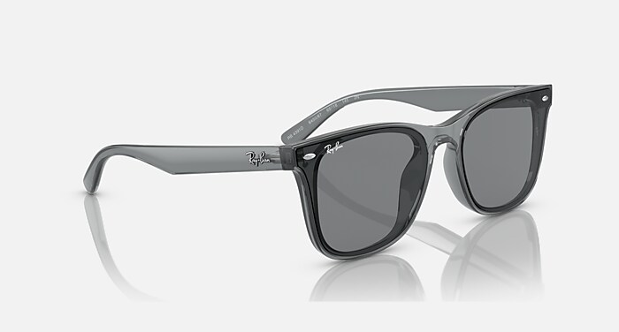 レイバン公式ストア】 Ray-Ban® RB4391D サングラス 