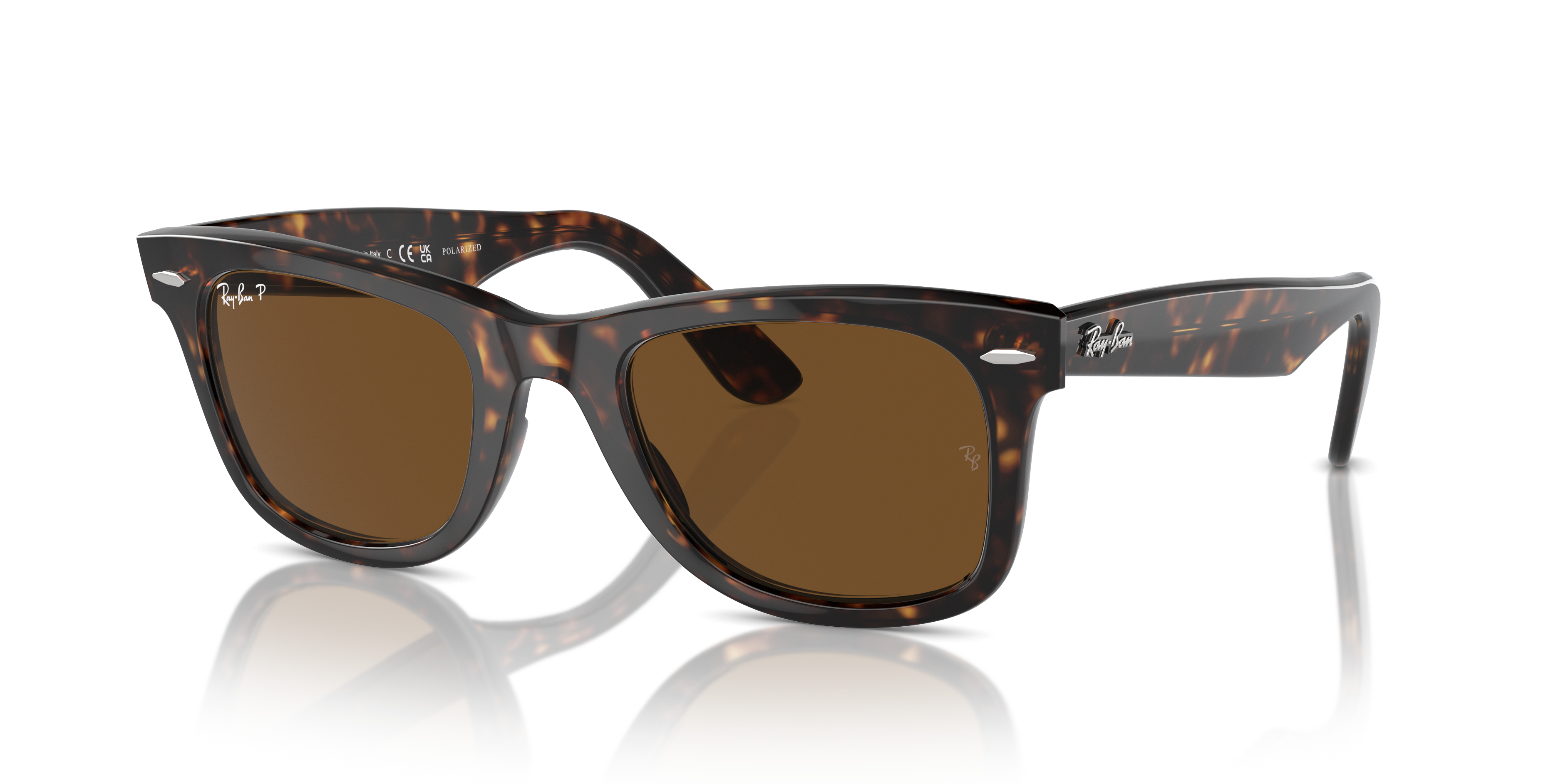 ORIGINAL WAYFARER CLASSIC Sunglasses in Tortoise and Brown
