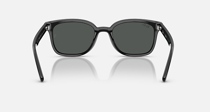 RB4461D Sunglasses in Black and Dark Grey - RB4461D | Ray-Ban® ROW