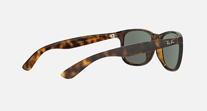 ANDY Polarized Sunglasses in Havana and Silver Polarized (57-17